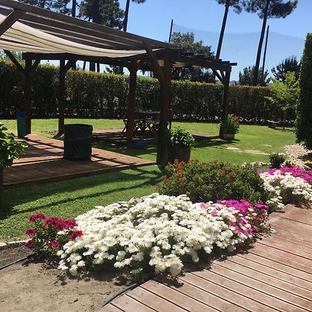 Villa De Lux with pool&jakuzzi Quinta do Anjo Zewnętrze zdjęcie